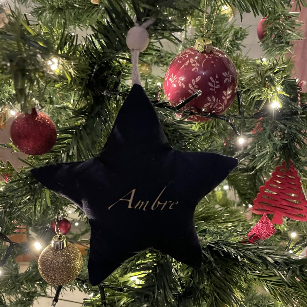 Etoile de Noel bleue